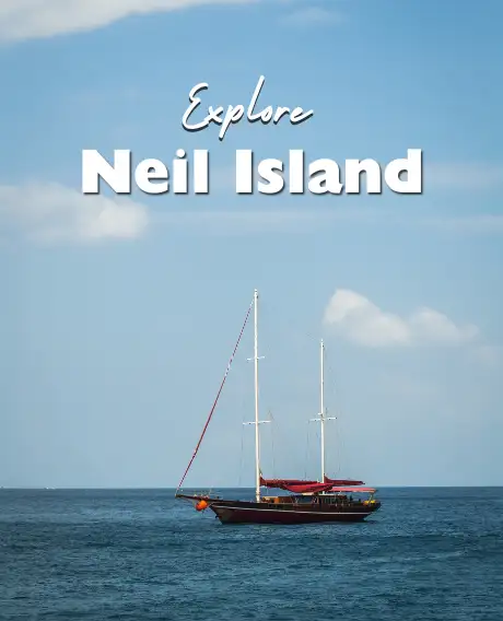 Neil Island